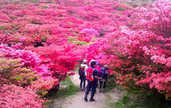 日本关西登山徒步旅行目的地10选